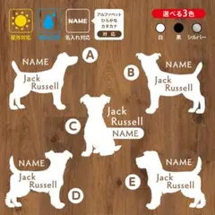 Item thumbnail for item 51b2f113-6fc4-4e48-abec-b516e523892e