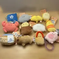 つぶらな瞳の温泉シリーズ 13個