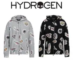 ハイドロゲン　セットアップのサムネイル