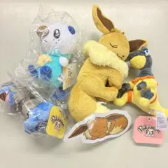 大器晩成　モノズ　マスコット　ぬいぐるみ　メタルチャーム　セット モノズのグッズ一覧｜【公式】ポケモンセンターオンライン