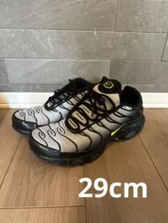 NIKE AIR MAX PLUS 29cm