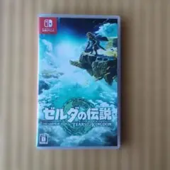 初期ROM】「ゼルダの伝説 ティアーズ オブ ザ キングダム」Ver1.0.0