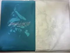 エヴァンゲリオン グッズ集