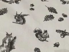 〇りす〇どんぐり〇秋〇落ち葉〇生地幅×50cmぐらい
