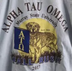 USA古着コンフォートカラーズ アニマル ドッグ両面プリント ポケットTシャツ