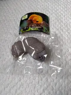 Item thumbnail for item 631eb715-f380-445c-a68b-860978051336