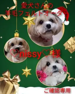 愛犬さんの羊毛フェルトオーダー nissy様専用