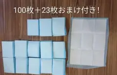 Item thumbnail for item 4861b3d9-e8e6-4511-b32b-c0b397a61de9