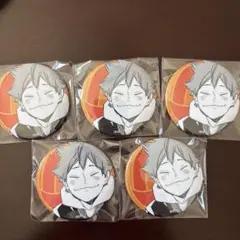 ハイキュー EMOTIONS 缶バッジ 日向翔陽