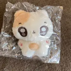 enhypen ヒスンHeeseung マスターさん ぬいぐるみ 40センチ - メルカリ