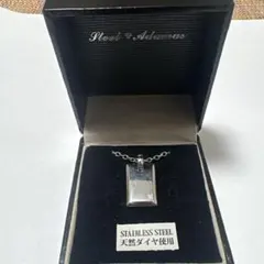 新品未使用 Steel Adamas ステンレス スチール天然ダイヤ ネックレス