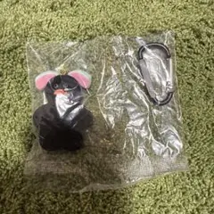 mojojojo 5周年限定