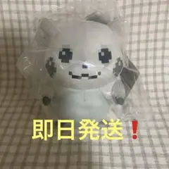 【即日発送】新品　ポケモン はじまりのピカチュウ ぬいぐるみ　30周年