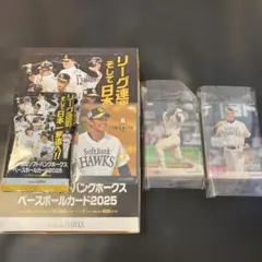 Item thumbnail for item 2130ed89-2988-4dc9-ac06-2ed6b35b643b