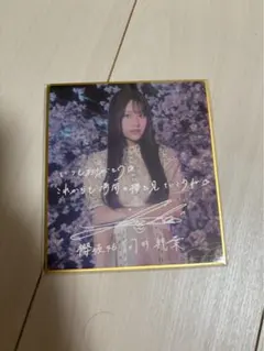 櫻坂46 アニラ サクコレ チャレンジくじ C賞 ミニ色紙 向井純葉 美品