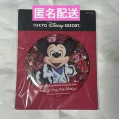ディズニーリゾート イマジニングザマジック 缶バッジ ミッキー