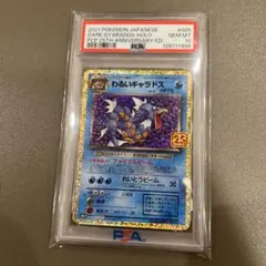 【希少/PSA10】ギャラドス lv.52 破空の激闘 希少/PSA10】ギャラドス lv.52 破空の激闘 希少/PSA10】ギャラドス lv