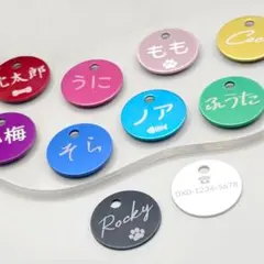 Item thumbnail for item 92f38dec-dd18-4a49-98b8-d0f14579a91b