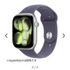 【希少】Apple Watch 純正スポーツバンド　42mm