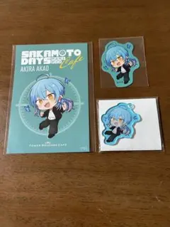 赤尾晶 タワレコカフェ