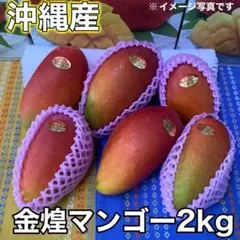 101. マンゴー4kg 家庭用 傷黒点あり - メルカリ