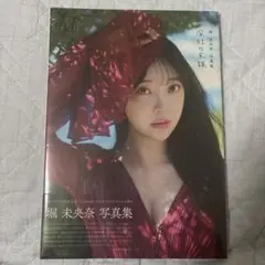 堀未央奈 写真集 深紅の余韻
