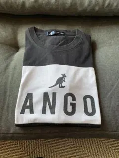 カンゴールのTシャツ