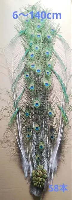 孔雀の羽根　ピーコックアイ、ピーコックソード&ピーコックフォーク　58本