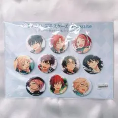 あんさんぶるスターズ！magazine 缶バッジ10個セット
