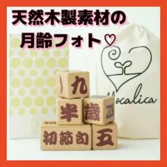 即日発送❤月齢フォト★漢字 積み木★天然木 木製ブロック★マタニティフォト★ 袋