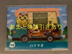 どうぶつの森 amiibo+カード 08 ハリマオ