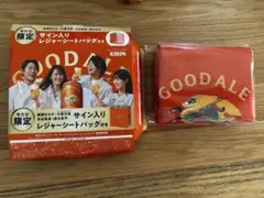 レジャーシートバッグ（キリングッドエール　ノベルティ）のサムネイル