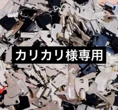 カリカリ様専用