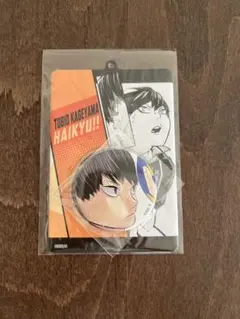 未開封 影山飛雄 ハイキュー!! 缶バッジ&ホルダーコレクション