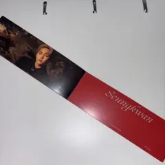 SEVENTEEN セブチ 封入 スングァン Attacca carat