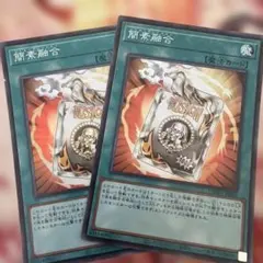 2025年最新】簡素融合の人気アイテム - メルカリ