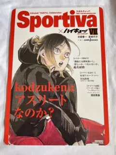 ハイキュー!! アニメイト特典 ショーセツバン 孤爪研磨 影山飛雄