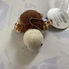 海遊館 ウミガメ ぬいぐるみ マスコットのサムネイル