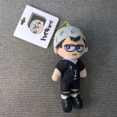 タイムセール ハイキュー!! ジロリ ぬいぐるみ 北信介