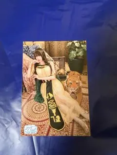 Item thumbnail for item 164b95a8-4efe-45f4-8c2d-c75e33fcc665