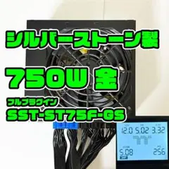 750W 80+金 シルバーストーン製 フルプラグイン ATX電源