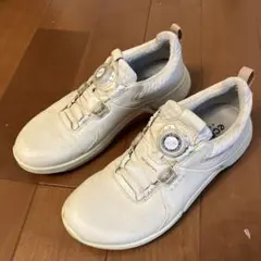 Ecco Biom ゴルフシューズ