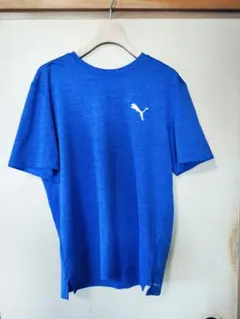 Item thumbnail for item ea6b9002-5c33-444d-8b1f-7397cb00c364