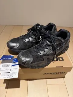 ヨッシー様専用　MIZUNO WAVE RIDER 10 ウエーブライダー10