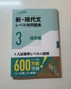 新・現代文レベル別問題集③標準編