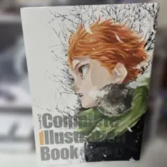 ハイキュー Complete Illustration book