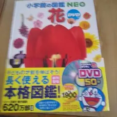 Item thumbnail for item b19ddfd9-4d2f-4982-9b5e-1b6db7eb9e4b