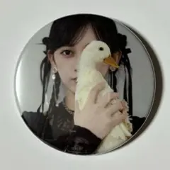 乃木坂46 池田瑛紗 缶バッジ 1 個展 Wings あひるの夢