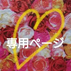 専用ページ
