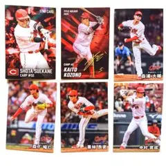 プロ野球 トレーディングカード セット
